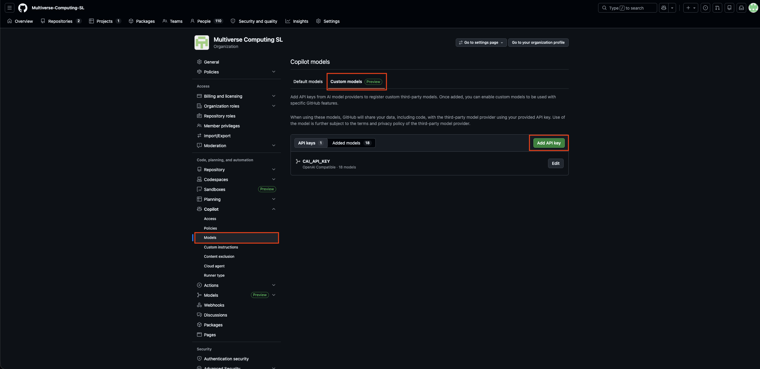 Custom models tab with Add API key button