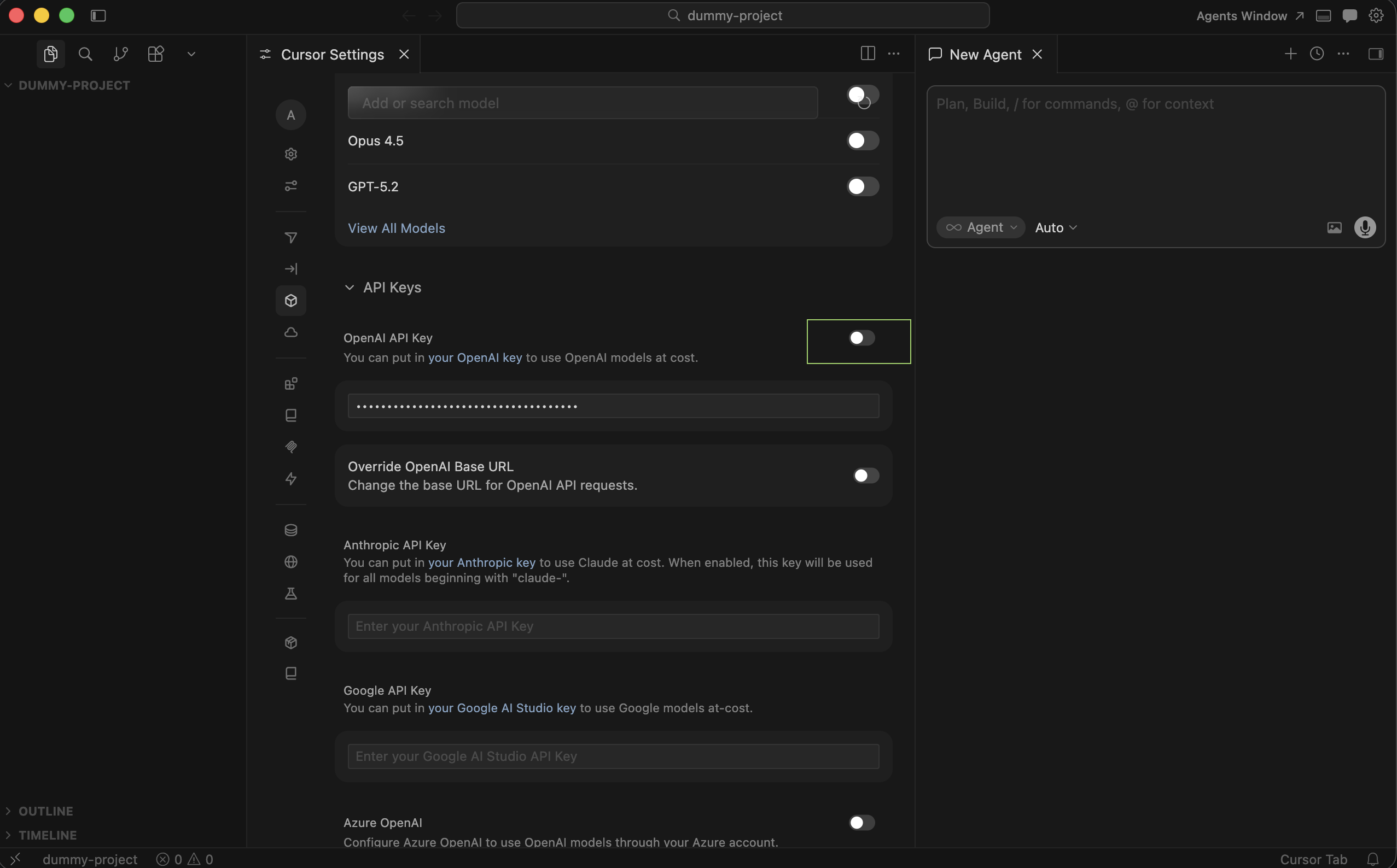 Enable OpenAI API key