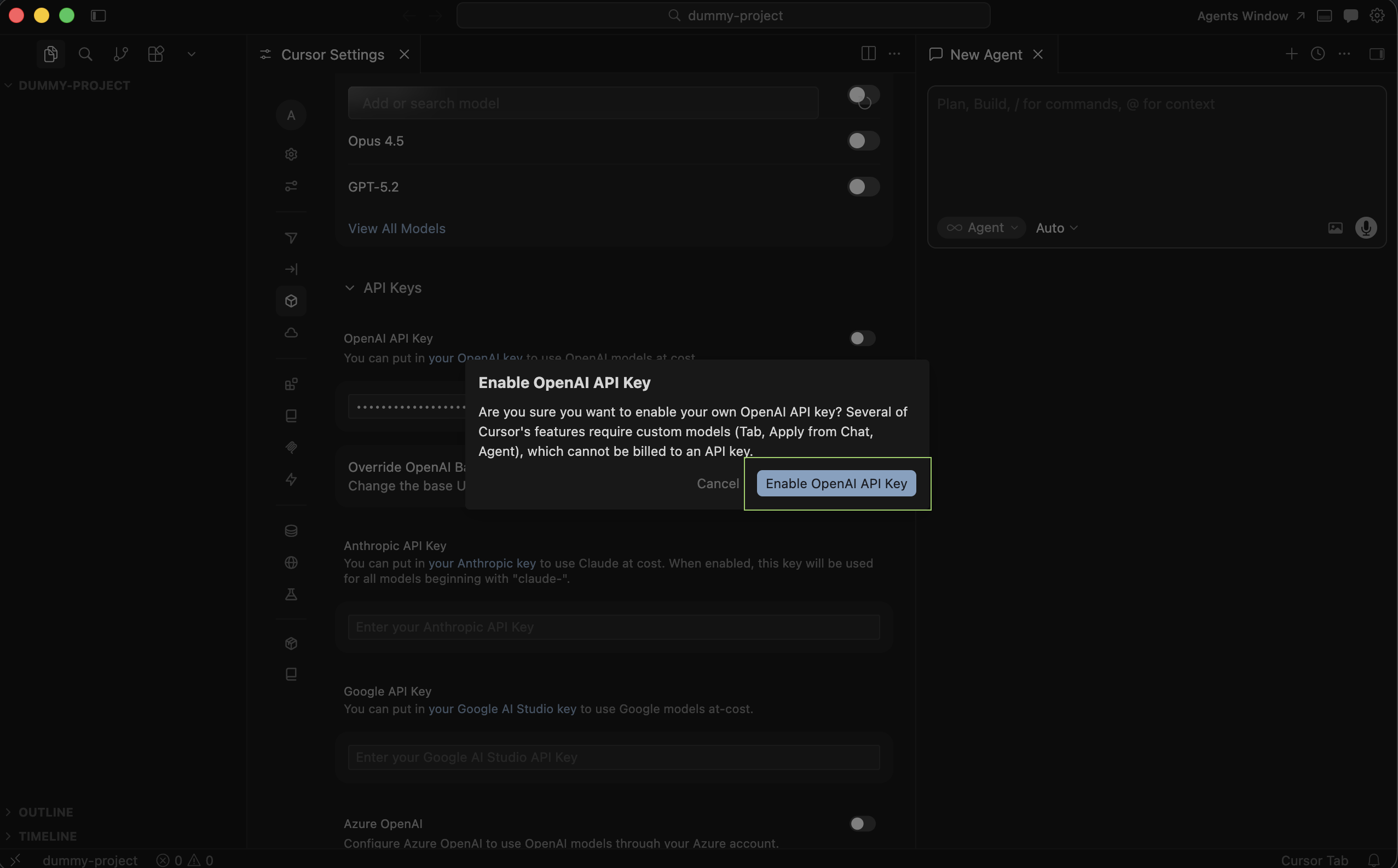 Enable OpenAI API Key control